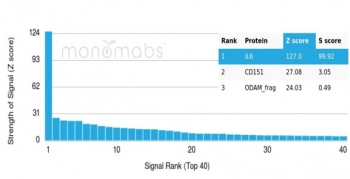 IL6 Antibody Protein Microarray Validation. Analysis of a HuProt(TM) microarray containing more than 19,000 full-length human proteins using Interleukin 6 Antibody / Pro-Inflammatory Cytokine Marker (clone IL6/4643) demonstrates exceptional target specificity for IL6. The intended target produced the highest signal on the array with a Z-score of 127.0, while the next highest ranked proteins, CD151 and ODAM, generated substantially lower signals. The resulting S-score of 99.92 greatly exceeds the accepted specificity threshold of 2.5, supporting highly selective recognition of IL6. These results demonstrate the foremost specificity of the IL6/4643 monoclonal antibody and support its use in studies of inflammatory signaling, cytokine biology, immune regulation, and inflammation-associated disease processes.