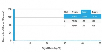 Analysis of HuProt(TM) microarray containing more than 19,000 full-length human proteins using TRAF1 antibody (clone TRAF1/3299). These results demonstrate the foremost specificity of the TRAF1/3299 mAb. Z- and S- Score: The Z-score represents the strength of a signal that a monoclonal antibody (clone MAb) (in combination with a fluorescently-tagged anti-IgG secondary antibody) produces when binding to a particular protein on the HuProt(TM) array. Z-scores are described in units of standard deviations (SD's) above the mean value of all signals generated on that array. If targets on HuProt(TM) are arranged in descending order of the Z-score, the S-score is the difference (also in units of SD's) between the Z-score. S-score therefore represents the relative target specificity of a MAb to its intended target. A MAb is considered to specific to its intended target, if the MAb has an S-score of at least 2.5. For example, if a MAb binds to protein X with a Z-score of 43 and to protein Y with a Z-score of 14, then the S-score for the binding of that MAb to protein X is equal to 29.