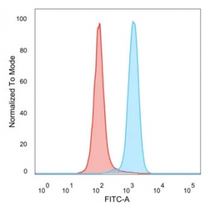 BACH2 Antibody Flow Cytometry HeLa Cell Analysis. Flow cytometry analysis of BTB domain and CNC homolog 2 / BACH2 in PFA-fixed human HeLa cells using BACH2 antibody. The BACH2 antibody (blue) demonstrates a clear right-shifted fluorescence peak compared to the isotype control (red), indicating specific intracellular detection of BACH2. The distinct separation between populations supports reliable identification of BACH2-positive cells and confirms antibody specificity in flow cytometry-based analysis.