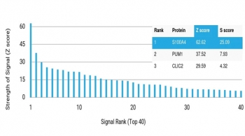 Analysis of HuProt(TM) microarray containing more than 19,000 full-length human proteins using S100A4 antibody (clone S100A4/6801). These results demonstrate the foremost specificity of the S100A4/6801 mAb. Z- and S- score: The Z-score represents the strength of a signal that an antibody (in combination with a fluorescently-tagged anti-IgG secondary Ab) produces when binding to a particular protein on the HuProt(TM) array. Z-scores are described in units of standard deviations (SD's) above the mean value of all signals generated on that array. If the targets on the HuProt(TM) are arranged in descending order of the Z-score, the S-score is the difference (also in units of SD's) between the Z-scores. The S-score therefore represents the relative target specificity of an Ab to its intended target.