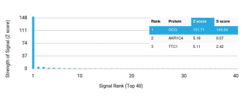 Analysis of Protein Array containing more than 19,000 full-length human proteins using recombinant GCG/Glucagon antibody (clone GCG/13090R). Z- and S- Score: The Z-score represents the strength of a signal that a monoclonal antibody (MAb) (in combination with a fluorescently-tagged anti-IgG secondary antibody) produces when binding to a particular protein on the HuProtTM array. Z-scores are described in units of standard deviations (SD's) above the mean value of all signals generated on that array. If targets on HuProtTM are arranged in descending order of the Z-score, the S-score is the difference (also in units of SD's) between the Z-score. S-score therefore represents the relative target specificity of a MAb to its intended target. A MAb is considered to specific to its intended target, if the MAb has an S-score of at least 2.5. For example, if a MAb binds to protein X with a Z-score of 43 and to protein Y with a Z-score of 14, then the S-score for the binding of that MAb to protein X is equal to 29.