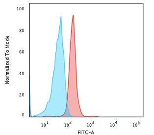 TP53 Antibody for Flow Cytometry / Cellular Tumor Antigen p53 FACS Antibody. Flow cytometry analysis of human HeLa cells stained with TP53 antibody clone rTP53/3780 following paraformaldehyde fixation shows a clear rightward fluorescence shift of the antibody-stained population (red histogram) compared with the isotype control (blue histogram). The shift indicates specific intracellular detection of Tumor protein p53 / TP53 in HeLa cells. The fluorescence distribution reveals a distinct positive population with minimal overlap with the control, consistent with nuclear accumulation of p53 in this carcinoma cell line. The x-axis represents FITC-A fluorescence intensity on a logarithmic scale and the y-axis represents events normalized to mode.