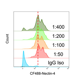 Flow cytometry analysis of Poliovirus receptor related 4 / NECTIN4 antibody (clone NECTIN4/13438R) in human T47D breast carcinoma cells. Cells were incubated with recombinant rabbit anti-Nectin-4 monoclonal antibody at dilutions of 1:50 (4 ug/ml; dark red), 1:100 (2 ug/ml; orange), 1:200 (1 ug/ml; light green), and 1:400 (0.5 ug/ml; dark green), followed by goat anti-rabbit IgG-CF488 secondary antibody. CF488 fluorescence intensity (log10 scale, x-axis) is plotted against relative cell count (y-axis). Increasing antibody concentration produces progressive rightward shifts of the fluorescence peak, consistent with dilution-dependent binding to cell-surface Nectin-4. The blue histogram represents the IgG isotype control.