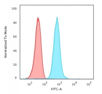 Flow cytometry testing of PFA-fixed human K562 cells with Fascin antibody (clone FAN55-1); Red=isotype control, Blue= Fascin antibody.