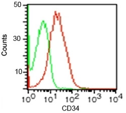 FACS testing of human KG-1 cells with isotype control (green) and CD34 antibody (red).