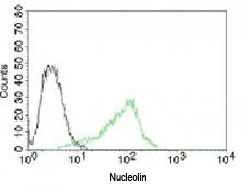 Flow cytometry testing of human 293 cells with isotype control and  Alexa Fluor 488-labeled C23/Nucleolin Antibody (green, clone NPC23-2).