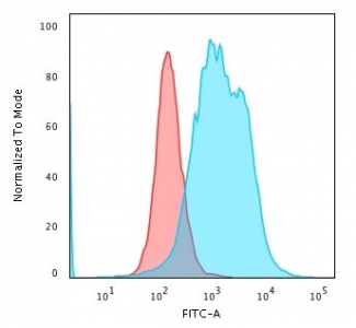 Calponin Antibody K562 FACS. Flow cytometry analysis of PFA-fixed human K562 cells using Calponin antibody. The recombinant rabbit monoclonal antibody clone CNN1/1408R was used for this assay, followed by a fluorescent secondary detection (blue). A clear rightward shift relative to the isotype control (red) indicates intracellular detection of Calponin 1 / CNN1, consistent with cytoplasmic localization of this actin-associated protein involved in cytoskeletal organization.