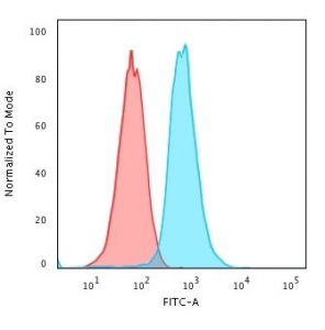 Flow cytometry testing of human K562 cells with RAD51 antibody (clone RALPA-1); Red=isotype control, Blue= RAD51 antibody.