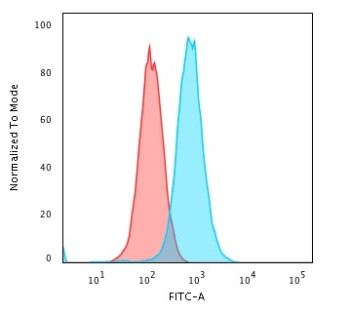 RAD51 Antibody K562 Cells FACS. Flow cytometric analysis of human K562 cells was performed using RAD51 antibody (clone RAD51/2702) followed by Goat anti-Mouse IgG-CF488 secondary antibody. RAD51, also known as RAD51 Recombinase, is a key mediator of homologous recombination and DNA double strand break repair that maintains genomic stability and coordinates cellular responses to DNA damage. Blue histogram: RAD51 antibody. Red histogram: isotype control. The marked rightward shift of the RAD51 antibody signal relative to the isotype control demonstrates specific detection of endogenous RAD51 in K562 cells. These results support the utility of this antibody for flow cytometric studies of DNA repair pathways, genome maintenance, and cellular responses to genotoxic stress.