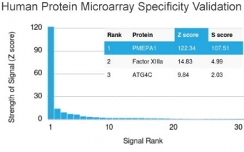 Analysis of HuProt(TM) microarray containing more than 19,000 full-length human proteins using TMEPAI antibody (clone PMEPA1/2696). These results demonstrate the foremost specificity of the PMEPA1/2696 mAb. Z- and S- score: The Z-score represents the strength of a signal that an antibody (in combination with a fluorescently-tagged anti-IgG secondary Ab) produces when binding to a particular protein on the HuProt(TM) array. Z-scores are described in units of standard deviations (SD's) above the mean value of all signals generated on that array. If the targets on the HuProt(TM) are arranged in descending order of the Z-score, the S-score is the difference (also in units of SD's) between the Z-scores. The S-score therefore represents the relative target specificity of an Ab to its intended target.