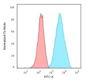 FACS testing of permeabilized human A549 cells with recombinant S100A4 antibody (blue, clone PS1A4-1R) and isotype control (red).