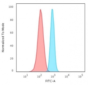 FACS testing of fixed and permeabilized human HeLa cells with recombinant Spectrin beta III antibody (blue) and isotype control (red).