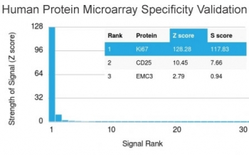 Analysis of HuProt(TM) microarray containing more than 19,000 full-length human proteins using Ki67 antibody (clone MKI67/2461). These results demonstrate the foremost specificity of the MKI67/2461 mAb. Z- and S- score: The Z-score represents the strength of a signal that an antibody (in combination with a fluorescently-tagged anti-IgG secondary Ab) produces when binding to a particular protein on the HuProt(TM) array. Z-scores are described in units of standard deviations (SD's) above the mean value of all signals generated on that array. If the targets on the HuProt(TM) are arranged in descending order of the Z-score, the S-score is the difference (also in units of SD's) between the Z-scores. The S-score therefore represents the relative target specificity of an Ab to its intended target.