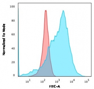 GLUT1 Antibody Recombinant Rabbit MAb GLUT1/3132R. Flow cytometry analysis of human K562 cells stained with recombinant rabbit monoclonal GLUT1 antibody demonstrates a clear rightward shift of the fluorescence signal (blue histogram) compared with the isotype control (red histogram), indicating specific detection of the GLUT1 / SLC2A1 glucose transporter on the analyzed cell population. The fluorescence intensity distribution shows a distinct population of GLUT1-positive cells consistent with surface-associated expression of this facilitative glucose transporter in metabolically active leukemia cells. Data are presented as FITC-A fluorescence intensity normalized to mode, with the recombinant GLUT1 antibody producing strong target-specific staining relative to the control antibody.