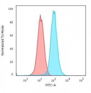 RAD51 Antibody K562 Cells FACS. Flow cytometric analysis of human K562 cells was performed using RAD51 antibody (clone RAD51/2701). RAD51, also known as a Homologous Recombination Protein, is a key mediator of DNA double strand break repair and maintenance of genomic stability. Red histogram: isotype control. Blue histogram: RAD51 antibody. The pronounced rightward shift of the RAD51 antibody signal relative to the isotype control demonstrates specific detection of endogenous RAD51 in K562 cells. These results support the utility of RAD51 Antibody for studies of homologous recombination, DNA damage responses, and therapeutic resistance in cancer cells.