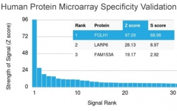 FOLH1 Antibody Protein Microarray Validation. Analysis of HuProt(TM) microarray containing more than 19,000 full-length human proteins using clone FOLH1/2363. These results demonstrate high specificity of the mouse monoclonal antibody for Folate hydrolase 1 / FOLH1, also known as Prostate-specific membrane antigen / PSMA, a membrane-associated metallopeptidase involved in prostate cancer biology, folate metabolism, and glutamatergic signaling pathways. Z- and S-score analysis confirms strong preferential binding to the intended target relative to non-specific proteins represented on the HuProt(TM) array. The Z-score represents the signal strength generated by antibody binding to an individual protein relative to the overall array background, while the S-score reflects the relative specificity gap between the top-ranked target and subsequent proteins on the array.