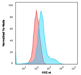 Flow testing of fixed and permeabilized human HeLa cells with Annexin A1 antibody (clone ANXA1/1671). Red=isotype control, Blue= Annexin A1 antibody.