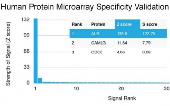 Analysis of HuProt(TM) microarray containing more than 19,000 full-length human proteins using Albumin antibody (clone ALB/2356). These results demonstrate the foremost specificity of the ALB/2356 mAb. Z- and S- score: The Z-score represents the strength of a signal that an antibody (in combination with a fluorescently-tagged anti-IgG secondary Ab) produces when binding to a particular protein on the HuProt(TM) array. Z-scores are described in units of standard deviations (SD's) above the mean value of all signals generated on that array. If the targets on the HuProt(TM) are arranged in descending order of the Z-score, the S-score is the difference (also in units of SD's) between the Z-scores. The S-score therefore represents the relative target specificity of an Ab to its intended target.