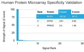 Analysis of HuProt(TM) microarray containing more than 19,000 full-length human proteins using MUC4 antibody (clone MUC4/3105). These results demonstrate the foremost specificity of the MUC4/3105 mAb. Z- and S- score: The Z-score represents the strength of a signal that an antibody (in combination with a fluorescently-tagged anti-IgG secondary Ab) produces when binding to a particular protein on the HuProt(TM) array. Z-scores are described in units of standard deviations (SD's) above the mean value of all signals generated on that array. If the targets on the HuProt(TM) are arranged in descending order of the Z-score, the S-score is the difference (also in units of SD's) between the Z-scores. The S-score therefore represents the relative target specificity of an Ab to its intended target.