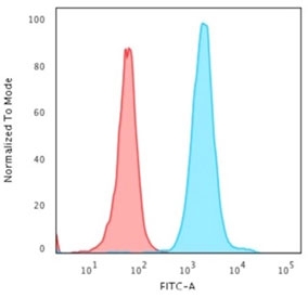 Flow cytometry staining of PFA-fixed human HeLa cells with Nucleophosmin antibody; Red=isotype control, Blue= Nucleophosmin antibody.