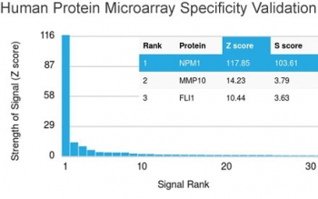 Analysis of HuProt(TM) microarray containing more than 19,000 full-length human proteins using Nucleophosmin antibody (clone NPM1/3286). These results demonstrate the foremost specificity of the NPM1/3286 mAb. Z- and S- score: The Z-score represents the strength of a signal that an antibody (in combination with a fluorescently-tagged anti-IgG secondary Ab) produces when binding to a particular protein on the HuProt(TM) array. Z-scores are described in units of standard deviations (SD's) above the mean value of all signals generated on that array. If the targets on the HuProt(TM) are arranged in descending order of the Z-score, the S-score is the difference (also in units of SD's) between the Z-scores. The S-score therefore represents the relative target specificity of an Ab to its intended target.
