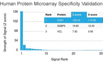 Human protein microarray specificity validation of Estrogen Receptor alpha antibody microarray validated clone ESR1/3557. Analysis of HuProt(TM) microarray containing more than 19,000 full-length human proteins was performed using Estrogen Receptor alpha antibody clone ESR1/3557. The antibody demonstrates strongest binding to ESR1 with a Z-score of 139.43 and an S-score of 119.58, indicating clear separation from other proteins on the array. These results support the high specificity of clone ESR1/3557 for Estrogen Receptor alpha.<BR>Z- and S-score explanation: The Z-score represents the strength of signal produced when the antibody, in combination with a fluorescently tagged anti-IgG secondary antibody, binds to a specific protein on the HuProt(TM) array. Z-scores are expressed in standard deviations above the mean signal generated across the array. Proteins are ranked in descending order based on Z-score. The S-score represents the difference in Z-scores between sequentially ranked proteins and reflects the relative specificity of the antibody for its intended target compared to potential off-target interactions.