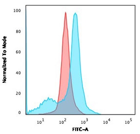 Flow cytometry testing of human U-87 MG cells with CD73 antibody (clone NT5E/2503); Red=isotype control, Blue= CD73 antibody.