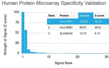 Analysis of HuProt(TM) microarray containing more than 19,000 full-length human proteins using Pan-HLA antibody (clone HLA-Pan/2967R). These results demonstrate the foremost specificity of the HLA-Pan/2967R mAb. Z- and S- score: The Z-score represents the strength of a signal that an antibody (in combination with a fluorescently-tagged anti-IgG secondary Ab) produces when binding to a particular protein on the HuProt(TM) array. Z-scores are described in units of standard deviations (SD's) above the mean value of all signals generated on that array. If the targets on the HuProt(TM) are arranged in descending order of the Z-score, the S-score is the difference (also in units of SD's) between the Z-scores. The S-score therefore represents the relative target specificity of an Ab to its intended target.