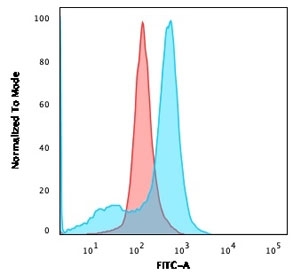 Flow cytometry testing of human U-87 MG cells with unlabeled CD73 antibody (clone NT5E/2646); Red=isotype control, Blue= CD73 antibody.