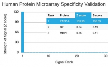 Analysis of HuProt(TM) microarray containing more than 19,000 full-length human proteins using PAPPA antibody (clone PAPPA/2717). These results demonstrate the foremost specificity of the PAPPA/2717 mAb. Z- and S- score: The Z-score represents the strength of a signal that an antibody (in combination with a fluorescently-tagged anti-IgG secondary Ab) produces when binding to a particular protein on the HuProt(TM) array. Z-scores are described in units of standard deviations (SD's) above the mean value of all signals generated on that array. If the targets on the HuProt(TM) are arranged in descending order of the Z-score, the S-score is the difference (also in units of SD's) between the Z-scores. The S-score therefore represents the relative target specificity of an Ab to its intended target.