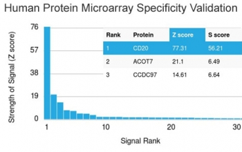Analysis of HuProt(TM) microarray containing more than 19,000 full-length human proteins using CD20 antibody (clone MS4A1/3410). These results demonstrate the foremost specificity of the MS4A1/3410 mAb. Z- and S- score: The Z-score represents the strength of a signal that an antibody (in combination with a fluorescently-tagged anti-IgG secondary Ab) produces when binding to a particular protein on the HuProt(TM) array. Z-scores are described in units of standard deviations (SD's) above the mean value of all signals generated on that array. If the targets on the HuProt(TM) are arranged in descending order of the Z-score, the S-score is the difference (also in units of SD's) between the Z-scores. The S-score therefore represents the relative target specificity of an Ab to its intended target.