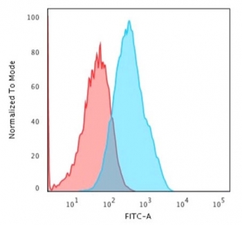 Cadherin 17 Antibody FACS. Flow cytometry analysis of human MCF7 cells using Cadherin 17 Antibody / Epithelial Cell Adhesion Protein Antibody (clone CDH17/2618) demonstrates a clear rightward shift of the antibody-stained population (blue) relative to the isotype control (red), consistent with detection of CDH17 expression. Cadherin 17 (CDH17) is a calcium-dependent cell adhesion molecule involved in epithelial tissue organization, maintenance of tissue architecture, and regulation of cell-cell interactions. CDH17 is widely studied as a marker of epithelial differentiation and gastrointestinal epithelial biology and has been investigated in multiple epithelial malignancies. Cells were stained with Cadherin 17 antibody (clone CDH17/2618) and analyzed by flow cytometry. Red = isotype control, Blue = Cadherin 17 antibody.
