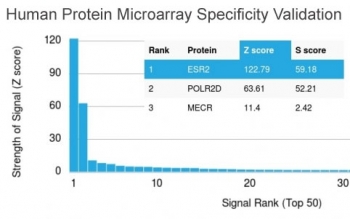Estrogen Receptor beta Antibody Microarray Specificity Validation. Analysis of HuProt(TM) microarray containing more than 19,000 full-length human proteins using Estrogen Receptor beta antibody (clone ESR2/3207). These results demonstrate the foremost specificity of the ESR2/3207 mAb.<BR>Z- and S- score: The Z-score represents the strength of a signal that an antibody (in combination with a fluorescently-tagged anti-IgG secondary Ab) produces when binding to a particular protein on the HuProt(TM) array. Z-scores are described in units of standard deviations (SD's) above the mean value of all signals generated on that array. If the targets on the HuProt(TM) are arranged in descending order of the Z-score, the S-score is the difference (also in units of SD's) between the Z-scores. The S-score therefore represents the relative target specificity of an Ab to its intended target.