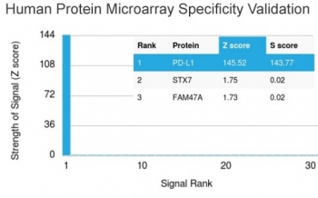 Analysis of HuProt(TM) microarray containing more than 19,000 full-length human proteins using PD-L1 antibody (clone PDL1/2743). These results demonstrate the foremost specificity of the PDL1/2743 mAb. Z- and S- score: The Z-score represents the strength of a signal that an antibody (in combination with a fluorescently-tagged anti-IgG secondary Ab) produces when binding to a particular protein on the HuProt(TM) array. Z-scores are described in units of standard deviations (SD's) above the mean value of all signals generated on that array. If the targets on the HuProt(TM) are arranged in descending order of the Z-score, the S-score is the difference (also in units of SD's) between the Z-scores. The S-score therefore represents the relative target specificity of an Ab to its intended target.