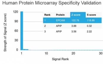 Analysis of HuProt(TM) microarray containing more than 19,000 full-length human proteins using EpCAM antibody (clone EGP40/1373). These results demonstrate the foremost specificity of the EGP40/1373 mAb. Z- and S- score: The Z-score represents the strength of a signal that an antibody (in combination with a fluorescently-tagged anti-IgG secondary Ab) produces when binding to a particular protein on the HuProt(TM) array. Z-scores are described in units of standard deviations (SD's) above the mean value of all signals generated on that array. If the targets on the HuProt(TM) are arranged in descending order of the Z-score, the S-score is the difference (also in units of SD's) between the Z-scores. The S-score therefore represents the relative target specificity of an Ab to its intended target.