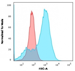 Flow cytometry testing of permeabilized human A549 cells with FSP1 antibody (clone rS100A4/1481); Red=isotype control, Blue= FSP1 antibody.
