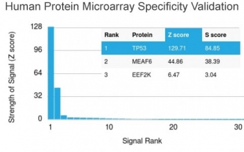 p53 Antibody Clone DO-1 / TP53 Tumor Suppressor Antibody. Protein microarray specificity validation using a HuProt(TM) human protein array containing more than 19,000 full-length human proteins demonstrates strong selective binding of p53 Antibody Clone DO-1 to TP53. The ranked signal plot shows TP53 as the dominant target with the highest signal intensity compared with other proteins on the array, supporting the specificity of clone DO-1 for Tumor protein p53.<BR>The Z-score represents the strength of antibody binding to each protein target detected using a fluorescently labeled secondary antibody. Z-scores are expressed in standard deviations above the mean signal across the array. Proteins are ranked by descending Z-score, and the S-score represents the difference between adjacent Z-scores in the ranked list. A high S-score indicates strong specificity of the antibody for its intended target relative to other proteins present on the array.