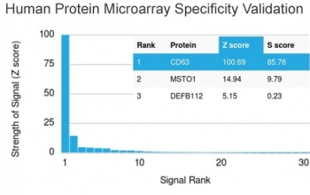 Analysis of HuProt(TM) microarray containing more than 19,000 full-length human proteins using CD63 antibody (clone LAMP3/2790). These results demonstrate the foremost specificity of the LAMP3/2790 mAb. Z- and S- score: The Z-score represents the strength of a signal that an antibody (in combination with a fluorescently-tagged anti-IgG secondary Ab) produces when binding to a particular protein on the HuProt(TM) array. Z-scores are described in units of standard deviations (SD's) above the mean value of all signals generated on that array. If the targets on the HuProt(TM) are arranged in descending order of the Z-score, the S-score is the difference (also in units of SD's) between the Z-scores. The S-score therefore represents the relative target specificity of an Ab to its intended target.