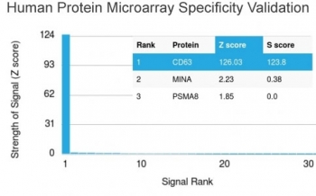 Analysis of HuProt(TM) microarray containing more than 19,000 full-length human proteins using CD63 antibody (clone LAMP3/2789). These results demonstrate the foremost specificity of the LAMP3/2789 mAb. Z- and S- score: The Z-score represents the strength of a signal that an antibody (in combination with a fluorescently-tagged anti-IgG secondary Ab) produces when binding to a particular protein on the HuProt(TM) array. Z-scores are described in units of standard deviations (SD's) above the mean value of all signals generated on that array. If the targets on the HuProt(TM) are arranged in descending order of the Z-score, the S-score is the difference (also in units of SD's) between the Z-scores. The S-score therefore represents the relative target specificity of an Ab to its intended target.