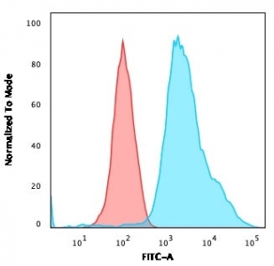 Pan Cytokeratin Antibody HeLa cells FACS. Flow cytometry analysis of cytokeratin expression in permeabilized human HeLa cells using Pan Cytokeratin antibody clone PCK/3150. The antibody-stained population (blue) shows a clear right-shift compared to isotype control (red), indicating strong intracellular detection of cytokeratin proteins. The distinct separation supports accurate gating and reliable identification of epithelial cells in this epithelial cell line.