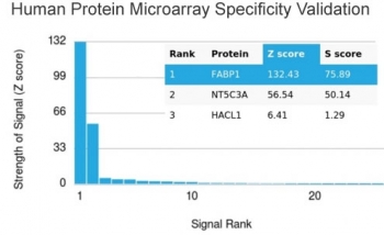 Human protein microarray specificity validation of FABP1 Antibody Microarray Validated Clone FABP1/3482. Analysis of the HuProt(TM) microarray containing more than 19,000 full-length human proteins was performed using FABP1 antibody clone FABP1/3482. The antibody demonstrates strongest binding to FABP1 with a Z-score of 132.43 and an S-score of 75.89, showing clear separation from other proteins on the array, including NT5C3A and HACL1. These data support the high specificity of clone FABP1/3482 for Liver fatty acid binding protein.<BR>Z- and S-score explanation: The Z-score represents the strength of the signal generated when the antibody, in combination with a fluorescently tagged anti-IgG secondary antibody, binds to a specific protein on the HuProt(TM) array. Z-scores are expressed in standard deviations above the mean signal of all proteins tested. Proteins are ranked in descending order according to Z-score. The S-score represents the difference between sequential Z-scores and reflects the relative specificity of the antibody for its intended target compared to potential off-target interactions.