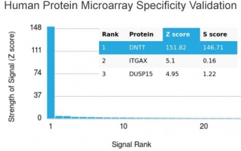 TdT Antibody Microarray Specificity Validation. HuProt(TM) human protein microarray specificity analysis of TdT antibody. A HuProt(TM) microarray containing more than 19,000 full-length human proteins was probed with TdT antibody (clone TDT/1393) to assess binding specificity. The microarray-validated monoclonal antibody clone TDT/1393 demonstrates strong and selective signal for DNTT compared with other proteins on the array. Z-score represents the signal strength generated by antibody binding to a specific protein relative to the mean signal across the array, expressed in standard deviations above the mean. When proteins are ranked by descending Z-score, the S-score reflects the difference in standard deviations between consecutive targets and therefore indicates relative target specificity. The high Z- and S-scores observed for DNTT support the specificity profile of this TdT antibody.