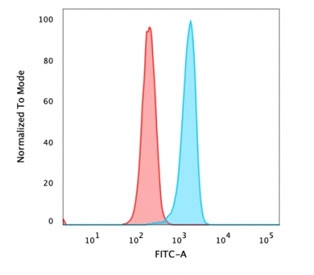 Catenin Beta Antibody HeLa Cell FACS. Flow cytometry analysis of PFA-fixed human HeLa cells using Catenin Beta Antibody (clone rCTNNB1/1507) shows a clear rightward shift of the blue population relative to the red isotype control, indicating specific detection of CTNNB1 / Catenin beta-1 expression. The fluorescence distribution supports intracellular localization consistent with beta-catenin presence in cytoplasmic and membrane-associated pools following fixation and permeabilization. Red represents isotype control and blue represents recombinant Catenin beta antibody staining.