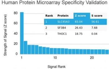 Prostein Antibody Microarray Specificity Validation. Analysis of HuProt(TM) protein microarray using Prostein / SLC45A3 antibody (clone ZR9). Screening against more than 19,000 full-length human proteins demonstrates strong and selective binding to SLC45A3 as the top-ranked target, with minimal off-target reactivity across the array, supporting high specificity of the ZR9 monoclonal antibody. Signal strength is represented by the Z-score, which reflects standard deviations above the mean signal intensity across all proteins, while the S-score represents the difference in signal between the top-ranked target and the next highest signal, indicating relative binding specificity.