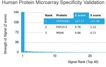 HSP90AB1 Antibody Protein Microarray Validated. Analysis of a HuProt(TM) human protein microarray containing more than 19,000 full-length human proteins using HSP90AB1 Antibody / Molecular Chaperone Antibody (clone HSP90AB1/3951). The antibody demonstrates exceptional specificity for HSP90AB1, with the highest Z-score and S-score among all proteins analyzed. The Z-score represents the strength of antibody binding relative to the array background, while the S-score reflects specificity by measuring the difference between the target signal and the next highest signal. These results support the use of HSP90AB1 Antibody / Molecular Chaperone Antibody, a Protein Microarray Validated mouse monoclonal antibody, for highly specific detection of HSP90AB1 in molecular chaperone and protein homeostasis research.