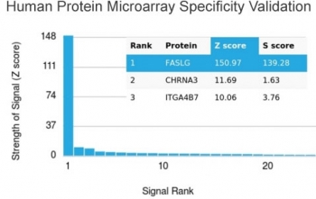 Fas Ligand Antibody Protein Microarray Validation. HuProt microarray analysis of Fas ligand / FASLG specificity using FASLG antibody, clone FASLG/4455, against more than 19,000 full-length human proteins. FASLG is identified as the top-ranked target by Z score with a strong signal intensity and clear separation from the next highest proteins, resulting in a high S score that supports selective target recognition. These results demonstrate preferential binding to Fas ligand with minimal off-target interaction under the tested conditions.