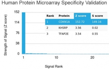 p21 / p21WAF1 Antibody Microarray Specificity Validation. Analysis of HuProt(TM) microarray containing more than 19,000 full-length human proteins using p21 antibody. These results demonstrate the foremost specificity of the CIP1/4377R mAb. Z- and S- score: The Z-score represents the strength of a signal that an antibody (in combination with a fluorescently-tagged anti-IgG secondary Ab) produces when binding to a particular protein on the HuProt(TM) array. Z-scores are described in units of standard deviations (SD's) above the mean value of all signals generated on that array. If the targets on the HuProt(TM) are arranged in descending order of the Z-score, the S-score is the difference (also in units of SD's) between the Z-scores. The S-score therefore represents the relative target specificity of an Ab to its intended target.