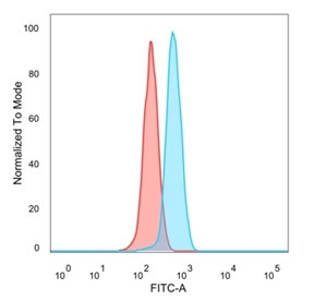 ZHX3 Antibody Human HeLa Cell FACS. Flow cytometry staining of PFA-fixed human HeLa cells with ZHX3 antibody (blue, clone PCRP-ZHX3-1D11) and isotype control (red).
