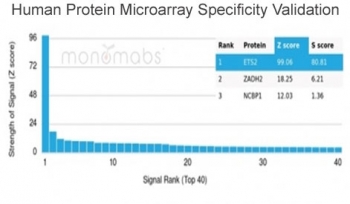 ETS2 Antibody Microarray Specificity Validation. Analysis of HuProt(TM) microarray containing more than 19,000 full-length human proteins using ETS2 antibody (clone PCRP-ETS2-1D9). These results demonstrate the foremost specificity of the PCRP-ETS2-1D9 mAb. Z- and S- score: The Z-score represents the strength of a signal that an antibody (in combination with a fluorescently-tagged anti-IgG secondary Ab) produces when binding to a particular protein on the HuProt(TM) array. Z-scores are described in units of standard deviations (SD's) above the mean value of all signals generated on that array. If the targets on the HuProt(TM) are arranged in descending order of the Z-score, the S-score is the difference (also in units of SD's) between the Z-scores. The S-score therefore represents the relative target specificity of an Ab to its intended target.