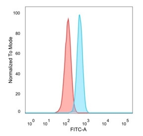 ETS2 Antibody HeLa FACS. Flow cytometry analysis of PFA-fixed human HeLa cells using ETS2 antibody shows a clear rightward shift in fluorescence intensity compared to the isotype control, consistent with intracellular detection of ETS2, a transcription factor involved in MAPK signaling; blue histogram represents ETS2 antibody staining and red histogram represents isotype control, with detection performed using clone PCRP-ETS2-1D9.